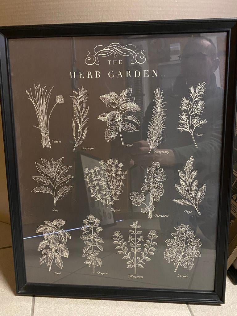 kaders met plantenposter, Antiek en Kunst, Curiosa en Brocante, Ophalen