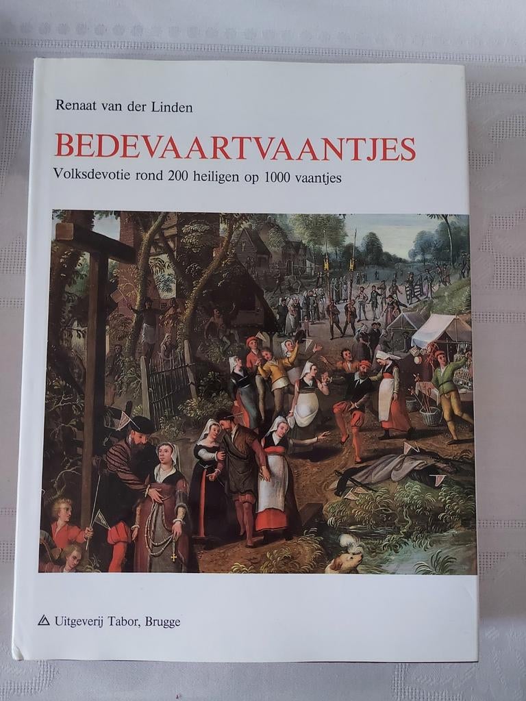 Boek Bedevaartsvaantjes, Ophalen of Verzenden, Zo goed als nieuw