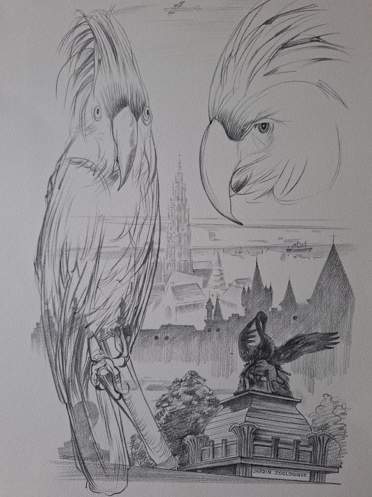 Leuke litho met de voorstelling van twee ara's en de Zoo, Antiek en Kunst, Ophalen of Verzenden