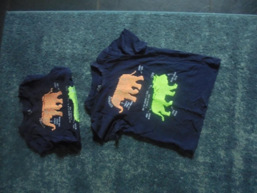 T-shirts taille 110, Enfants & Bébés, Vêtements enfant | Taille 110, Garçon, C&A, Enlèvement ou Envoi, Chemise ou À manches longues