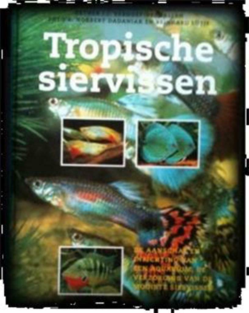 Tropische siervissen, Esther J.J.Verhoef-Verhallen, Boeken, Dieren en Huisdieren, Gelezen, Vissen, Ophalen of Verzenden