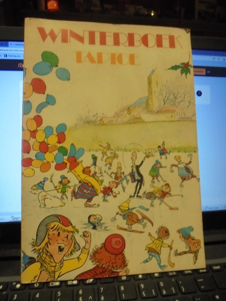Winterboek taptoe, Ophalen of Verzenden, Gelezen, Fictie algemeen