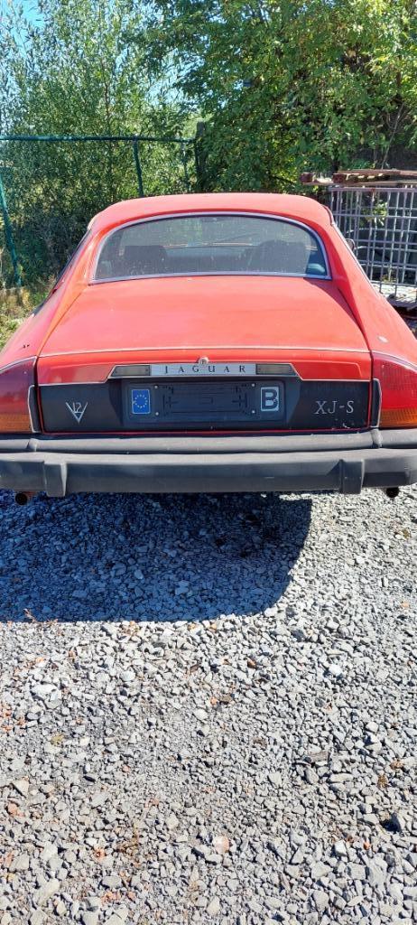 oldtimer jaguar xjs, foto 2