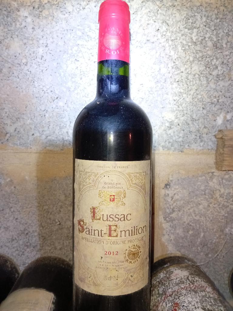 Vin Rouge Lussac Saint-Emilion 2012 Bordeaux, Neuf, Enlèvement, Vin rouge, France