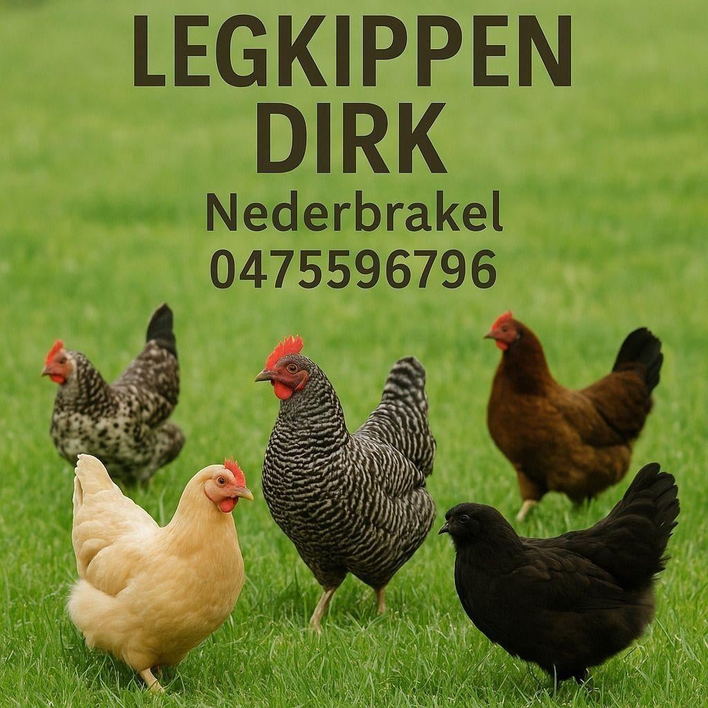 Legkippen Brakel, Dieren en Toebehoren