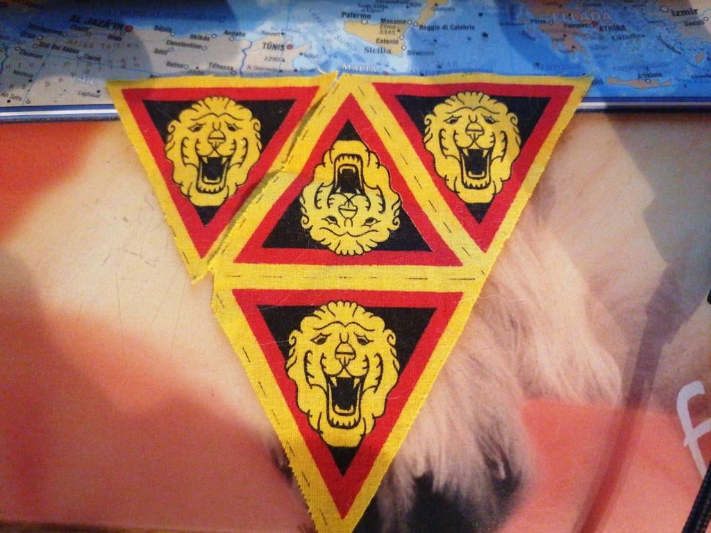 Lion armée de libération belge., Collections, Enlèvement ou Envoi
