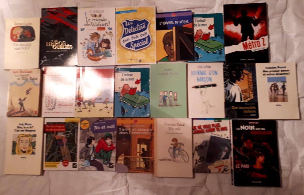 LIvres Jeunesse, Enlèvement ou Envoi, Utilisé, Divers auteurs