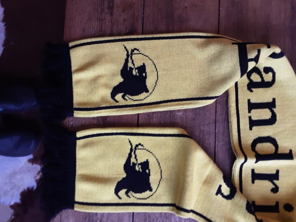 Wielersjaal Flandriens, Verzamelen, Ophalen of Verzenden, Zo goed als nieuw, Vaantje of Sjaal