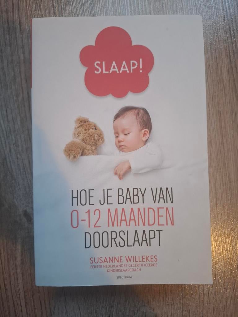 Susanne Willekes - Slaap!, Enlèvement, Susanne Willekes