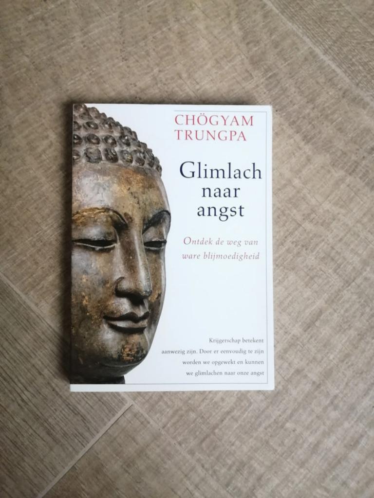 Glimlach naar angst  Chogyam Trungpa, Boeken, Filosofie, Ophalen of Verzenden, Zo goed als nieuw, Praktische filosofie, Chogyam Trungpa