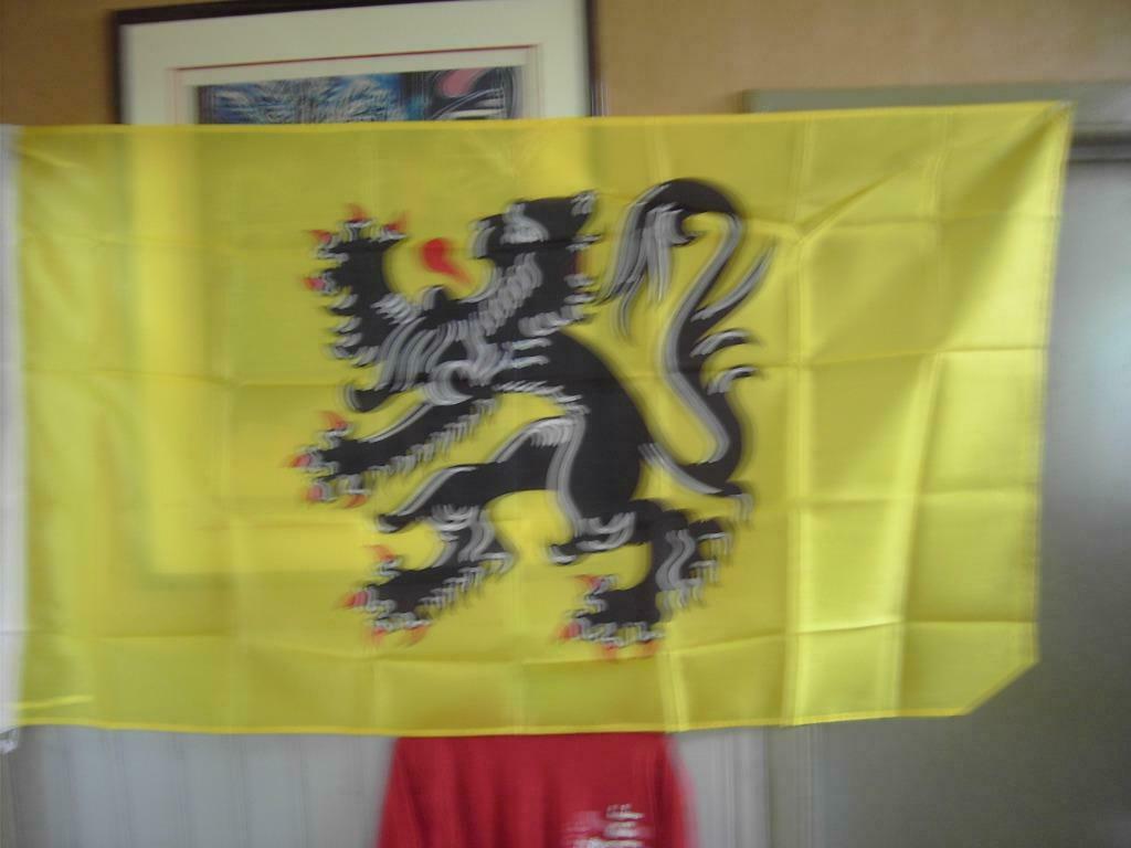 Vlaamse leeuw vlag 150/90 cm, Enlèvement ou Envoi, Neuf