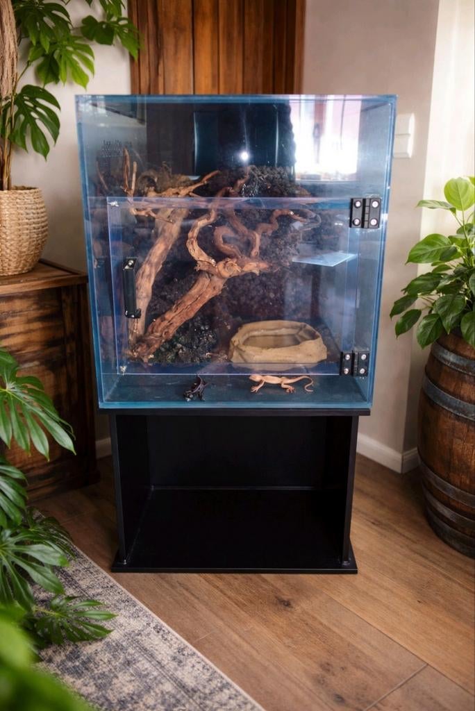 Terrarium neuf avec accessoires