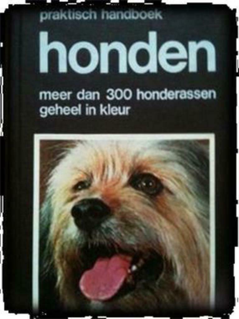 Praktisch handboek honden, Gino Pugnetti, Ophalen of Verzenden, Gelezen, Honden