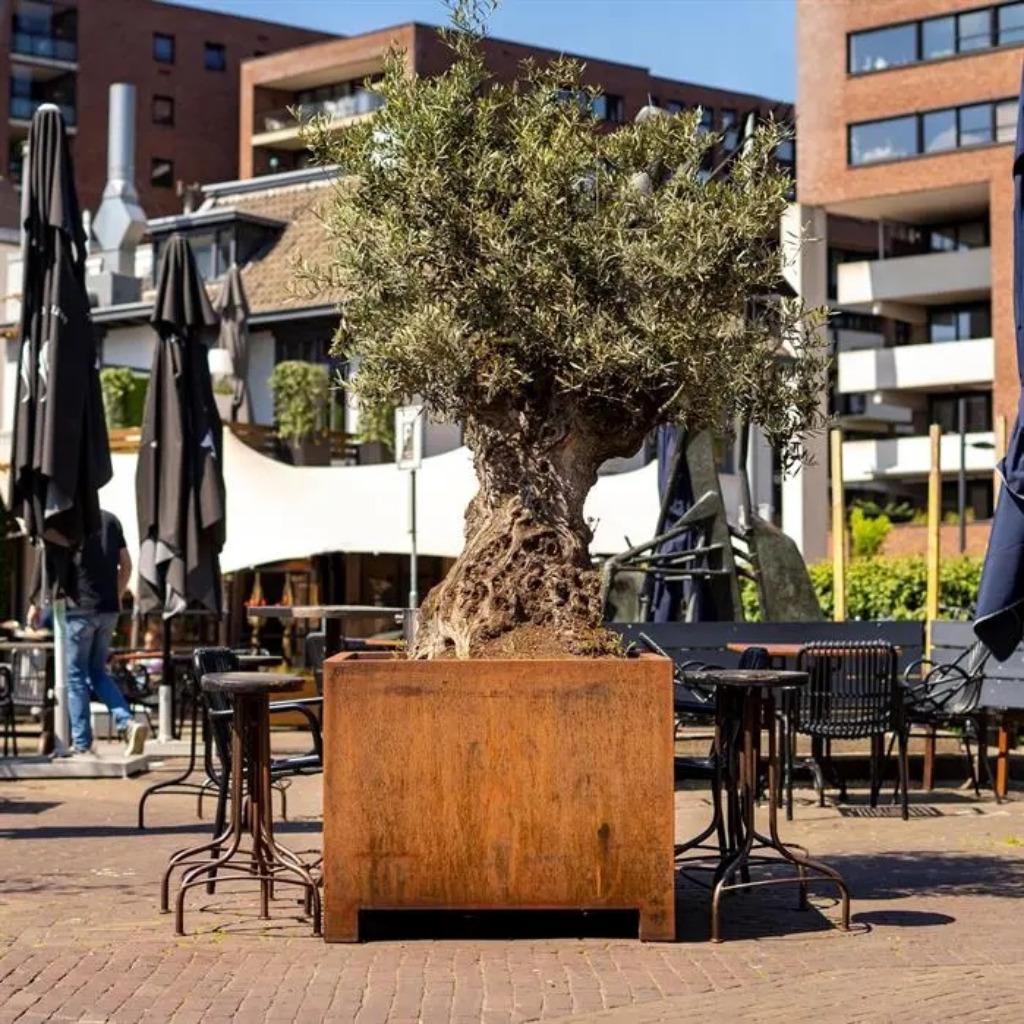 cortenstaal plantenbak / bloembak / boombak met poten 9 cm, Overige materialen, Verzenden, Vierkant, Nieuw