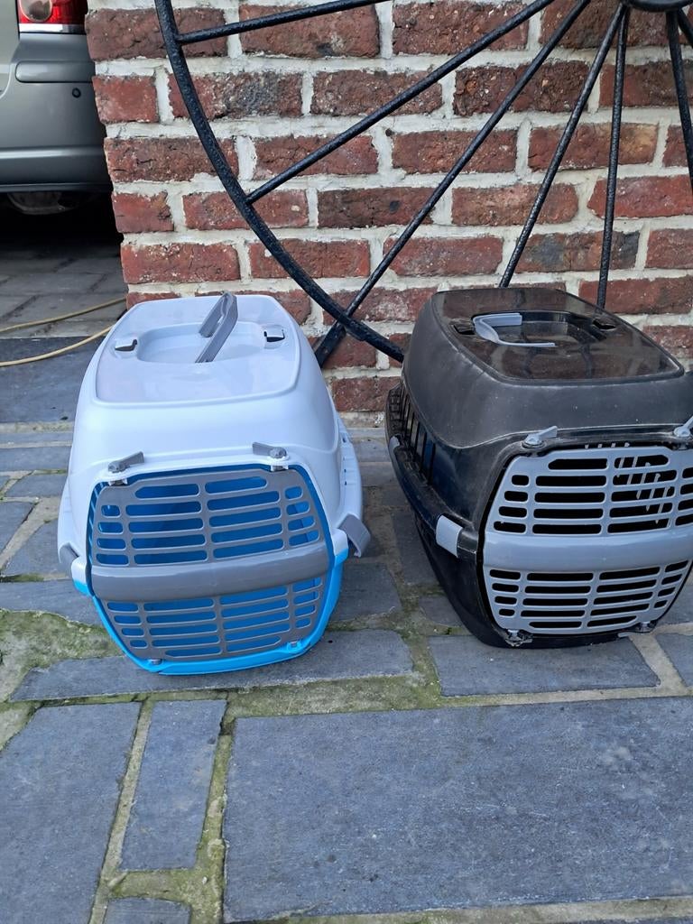 Boîte de transport pour chat, Enlèvement