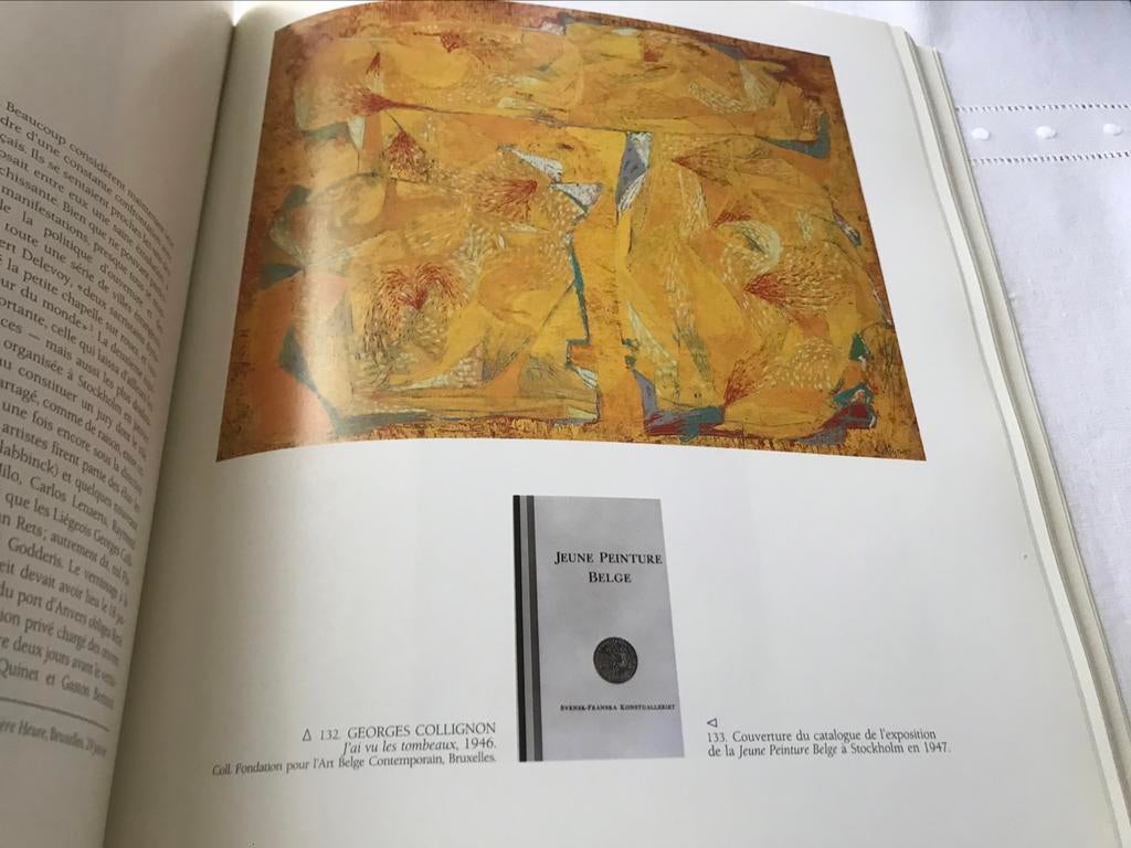 La Jeune Peinture Belge 220pag Rets Delahaut Collignon, Boeken, Kunst en Cultuur | Beeldend, Zo goed als nieuw, Schilder- en Tekenkunst