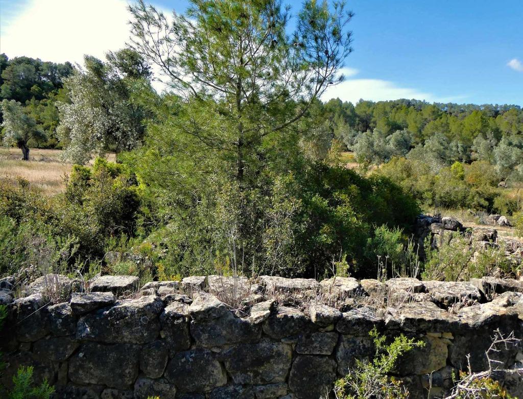 Finca in Calaceite (Aragón, Spanje) - 0940, Immo, Overige soorten, Spanje, Landelijk
