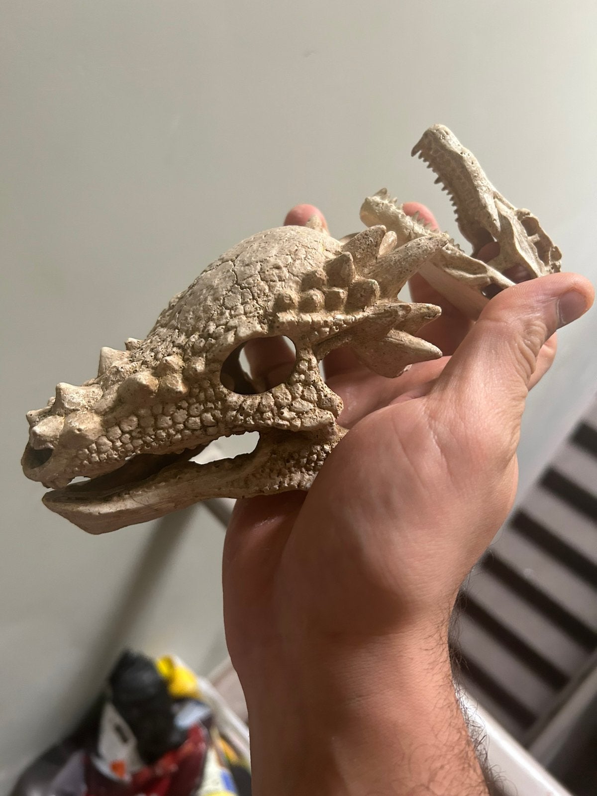 Superfish Skull T Rex aquarium, Dieren en Toebehoren, Ophalen, Superfish