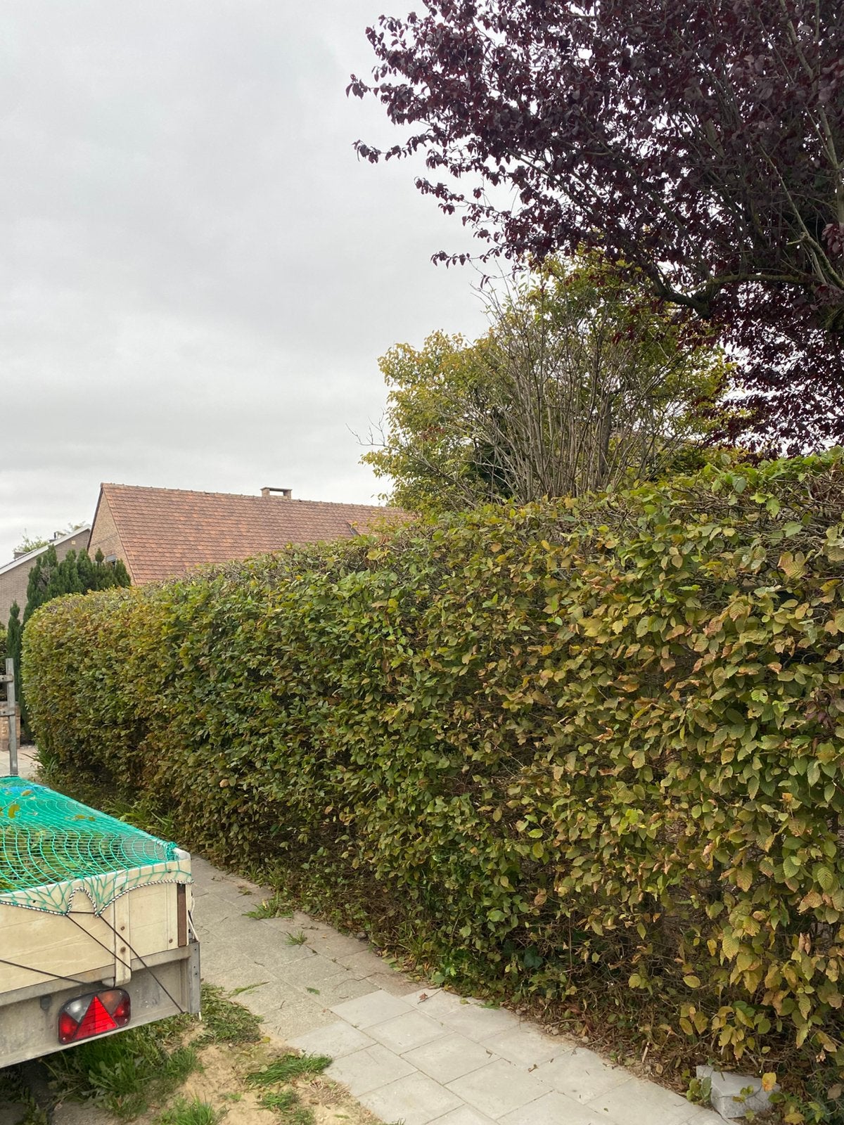 Klusjesman voor Huis & Tuin Regio West- en Oost-Vlaanderen, Enlèvement