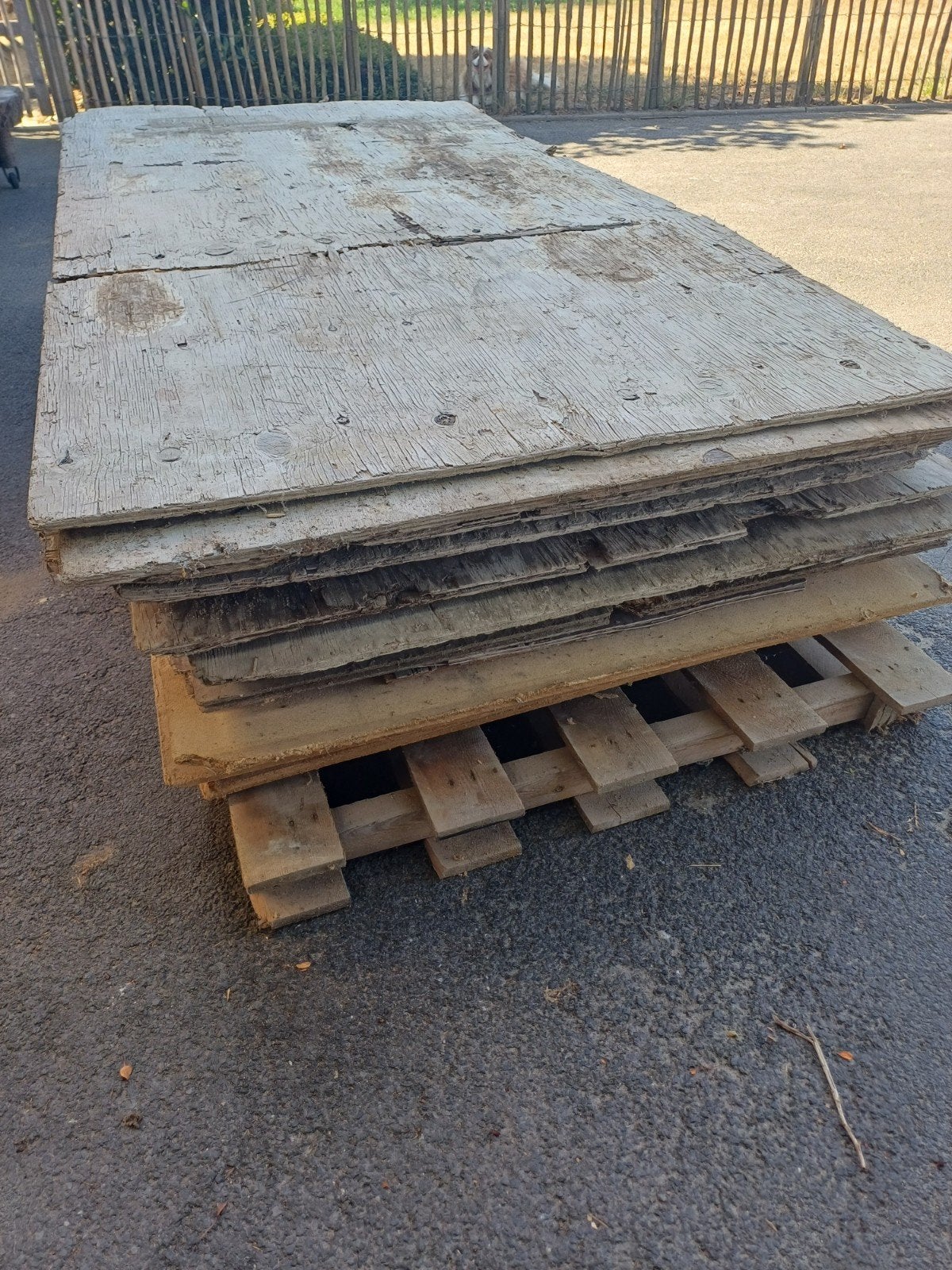 Tweede keus  oregonplaten, Doe-het-zelf en Bouw, Hout en Planken, Ophalen