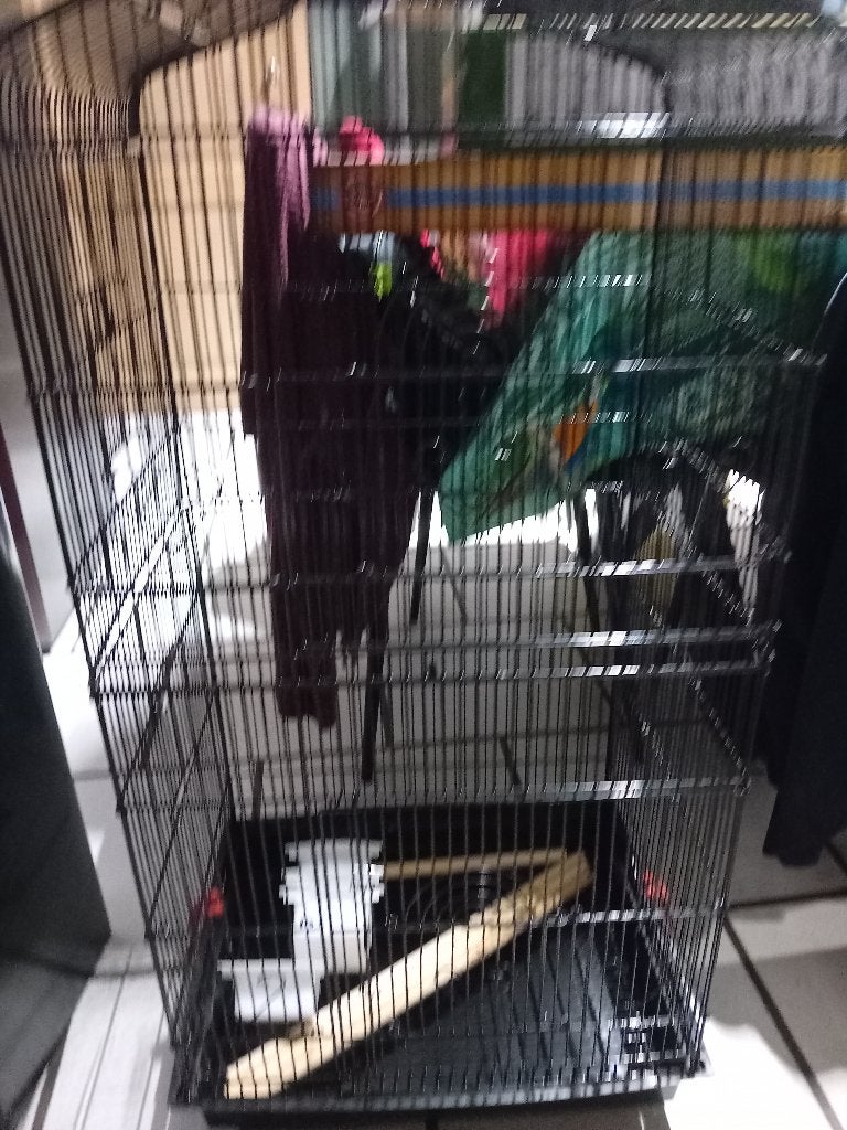 Vogelkooi, Ophalen, Nieuw, Metaal, Vogelkooi