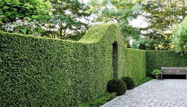 Jardinier, Tuinonderhoud of Snoeiwerk