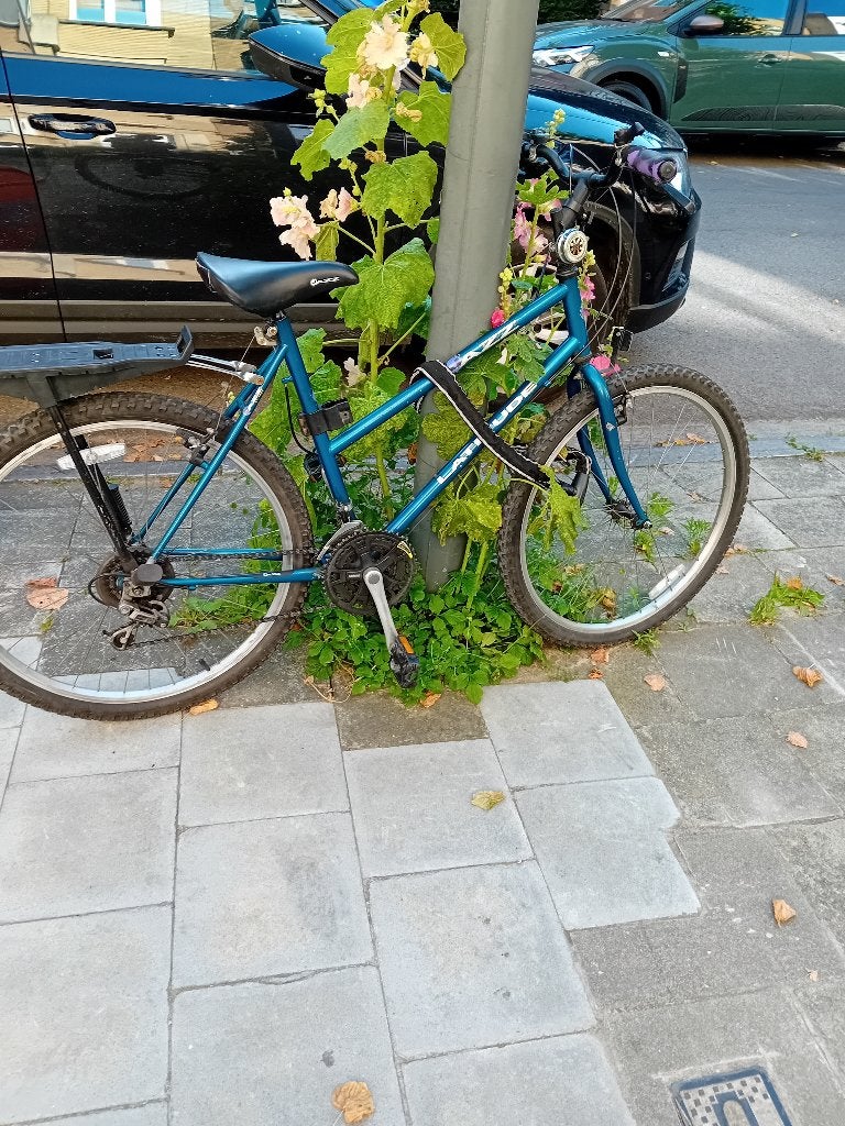 Vélo femme, Frein sur jante, Enlèvement ou Envoi, 49 à 53 cm, Comme neuf