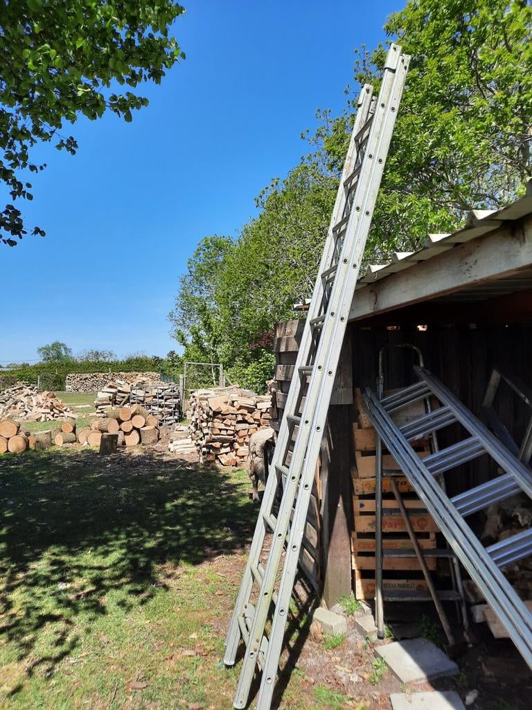 Ladder 2delig, Doe-het-zelf en Bouw, Ladders en Trappen, Ophalen, Ladder