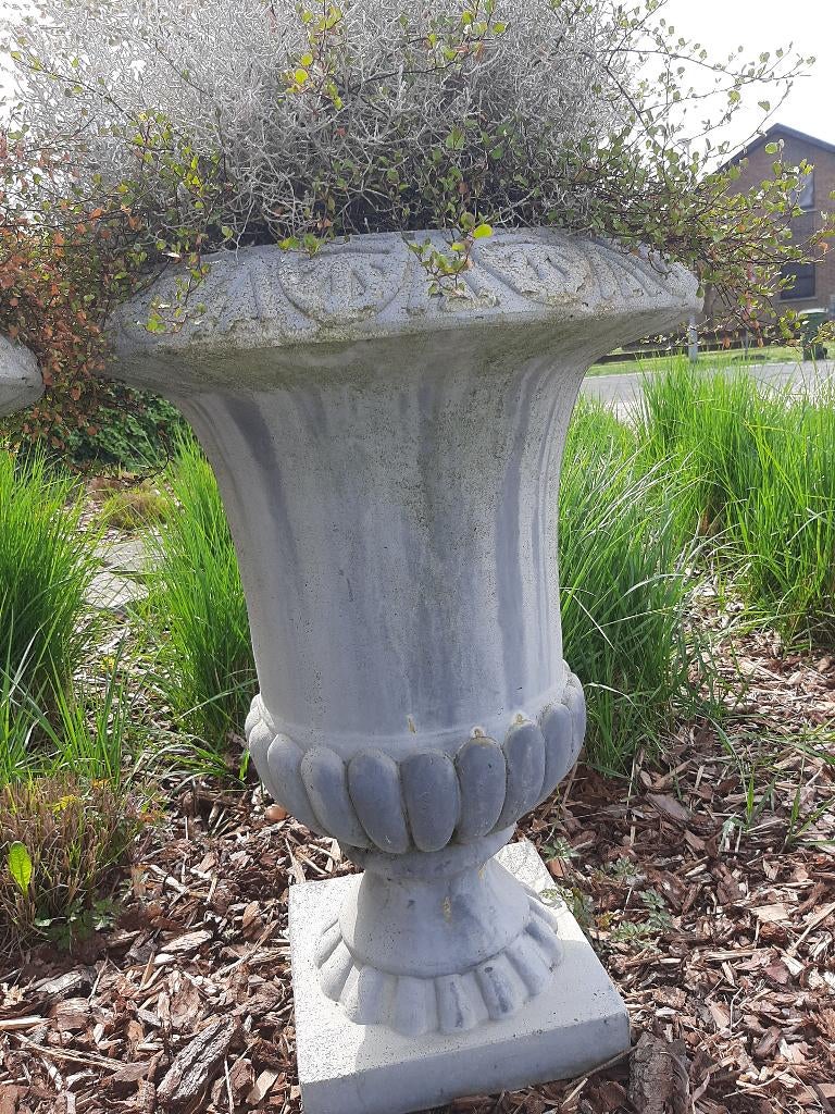 Bloempot, Balcon, 40 cm ou plus, 70 cm ou plus, Rond