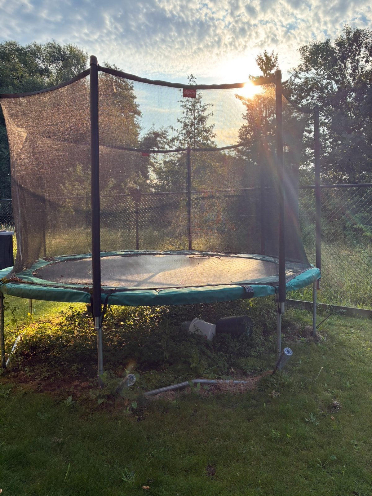 Trampoline BERG Favorit 380 Regular Groen + Safety net, Kinderen en Baby's, Speelgoed | Buiten | Trampolines, Ophalen, Zo goed als nieuw