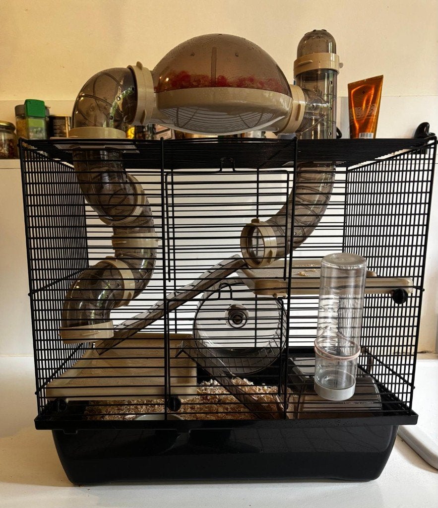 Hamster Cage / Small Animal Habitat, Animaux & Accessoires, Rongeurs & Lapins | Cages & Clapiers, Comme neuf, Cage, Moins de 60 cm