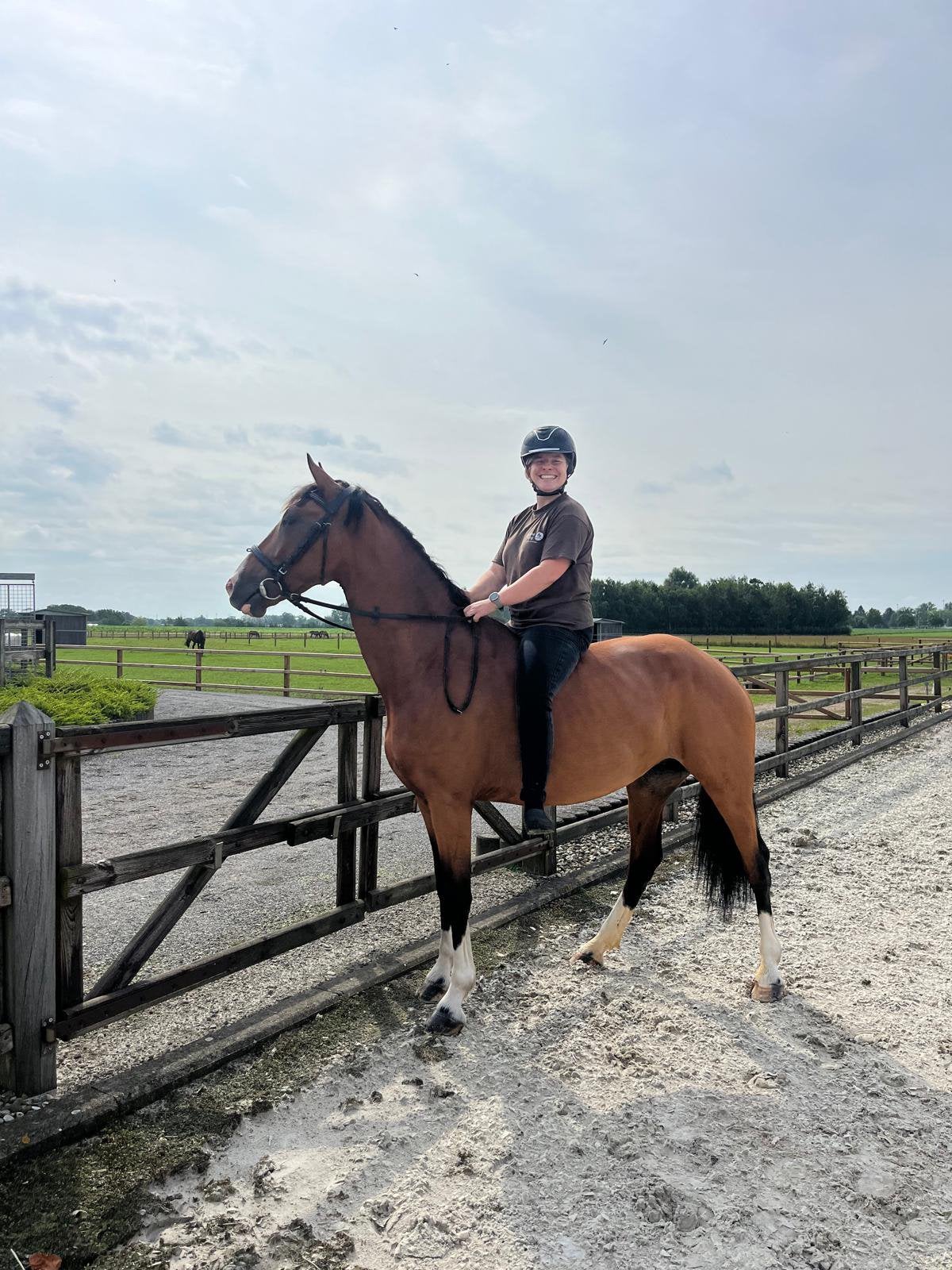 Zesjarige KWPN merrie te koop, Jument, 165 à 170 cm, Cheval de récréation, 3 à 6 ans