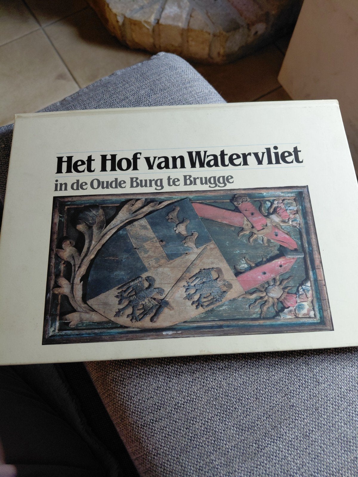 boek het Hof van Watervliet in de oude burg te Brugge, Ophalen of Verzenden
