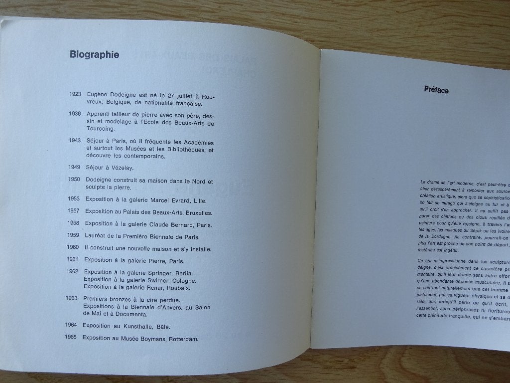 Eugène Dodeigne, PBA Charleroi, 1965, Boeken, Ophalen of Verzenden, Gelezen, Beeldhouwkunst