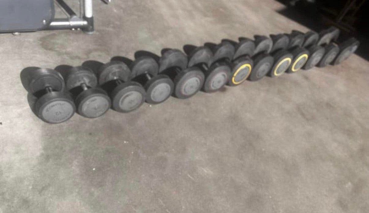 Technogym Dumbells 12kg t/m 40kg, Sport en Fitness, Ophalen, Gebruikt, Dumbbell