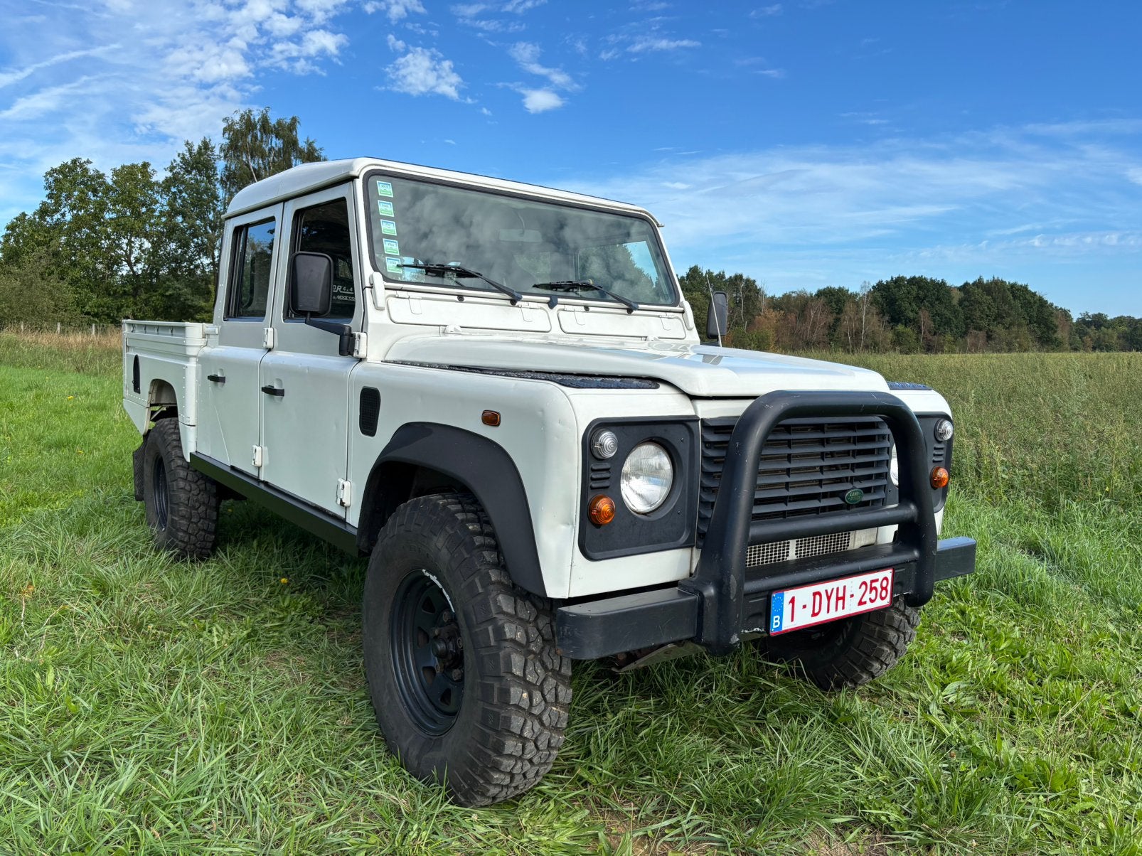 Defender 130 5plaatsen/lichte vracht, Particulier, Te koop, Defender