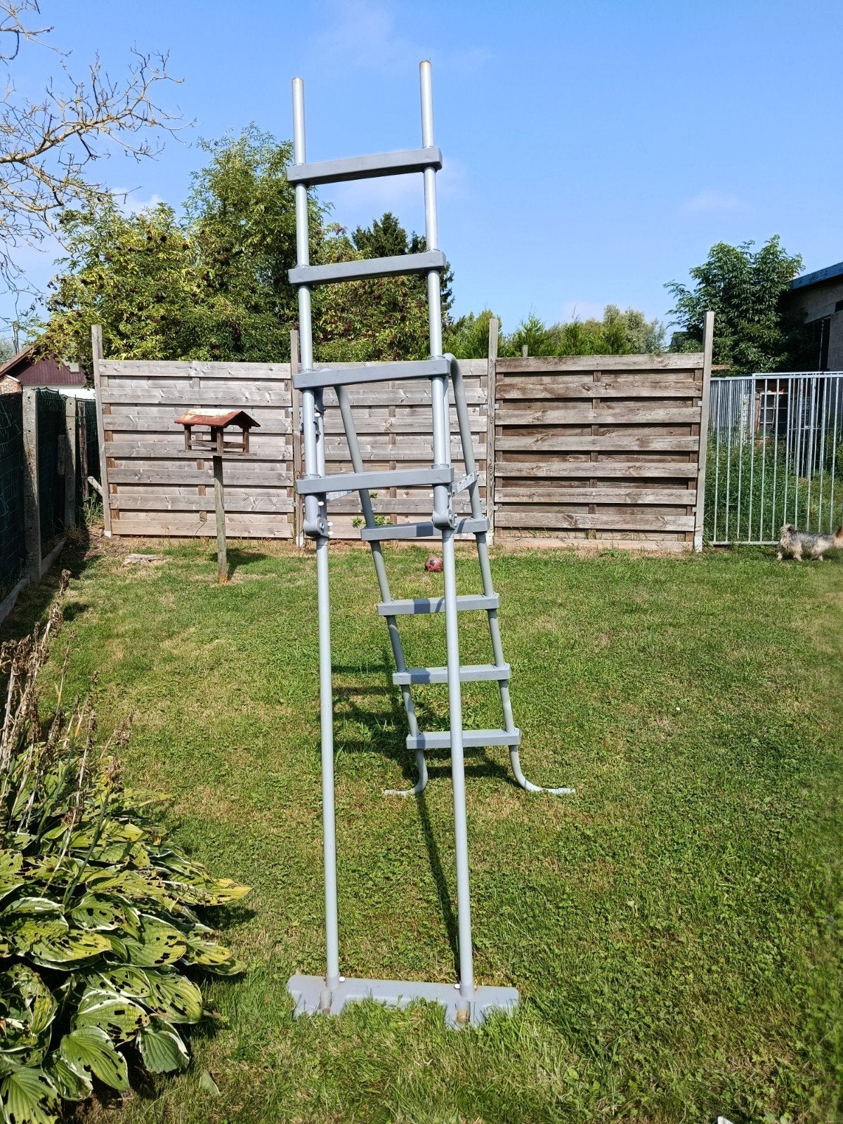 zwembad trap met veiligheid, Ophalen, Gebruikt, Ladder