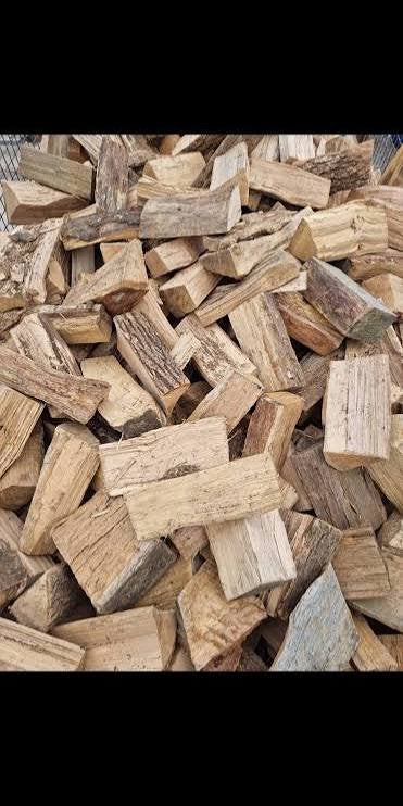 Bois de chauffage, 6 m³ ou plus, Enlèvement, Hêtre, Troncs d'arbres