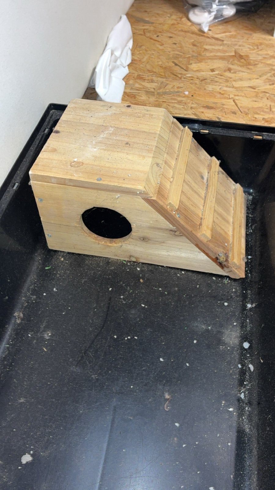 Cage, Dieren en Toebehoren, Ophalen of Verzenden, Zo goed als nieuw, Kooi, Rat