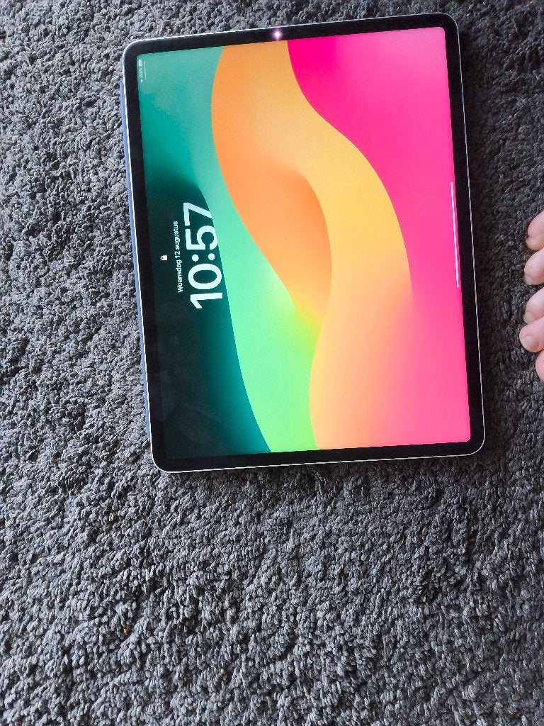Ipad pro 256 gb 12,9 inch, Informatique & Logiciels, Gris, 13 pouces ou plus, Comme neuf, Enlèvement