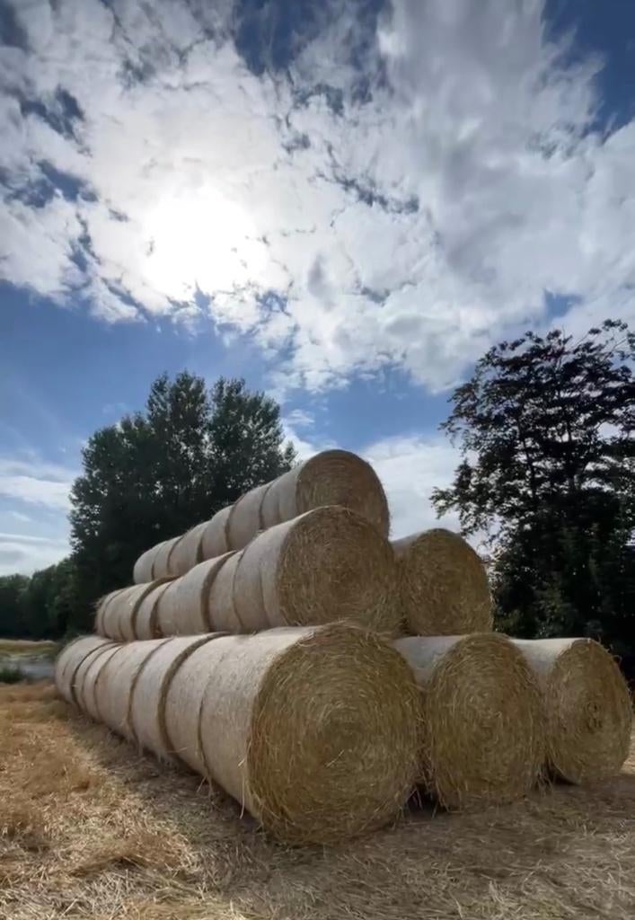 Ballots paille, Articles professionnels, Agriculture | Aliments pour bétail, Enlèvement