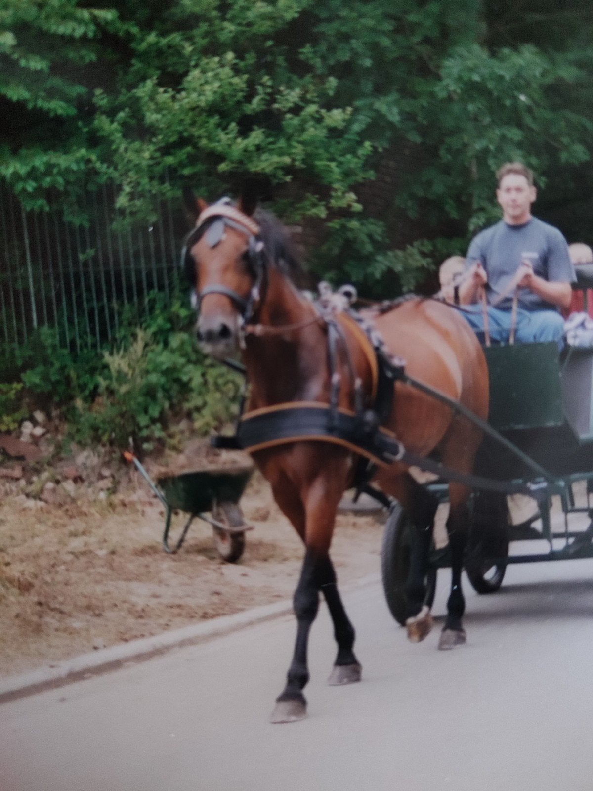 Harnais cheval, Animaux & Accessoires, Noir, Harnais d'attelage, Enlèvement, Utilisé