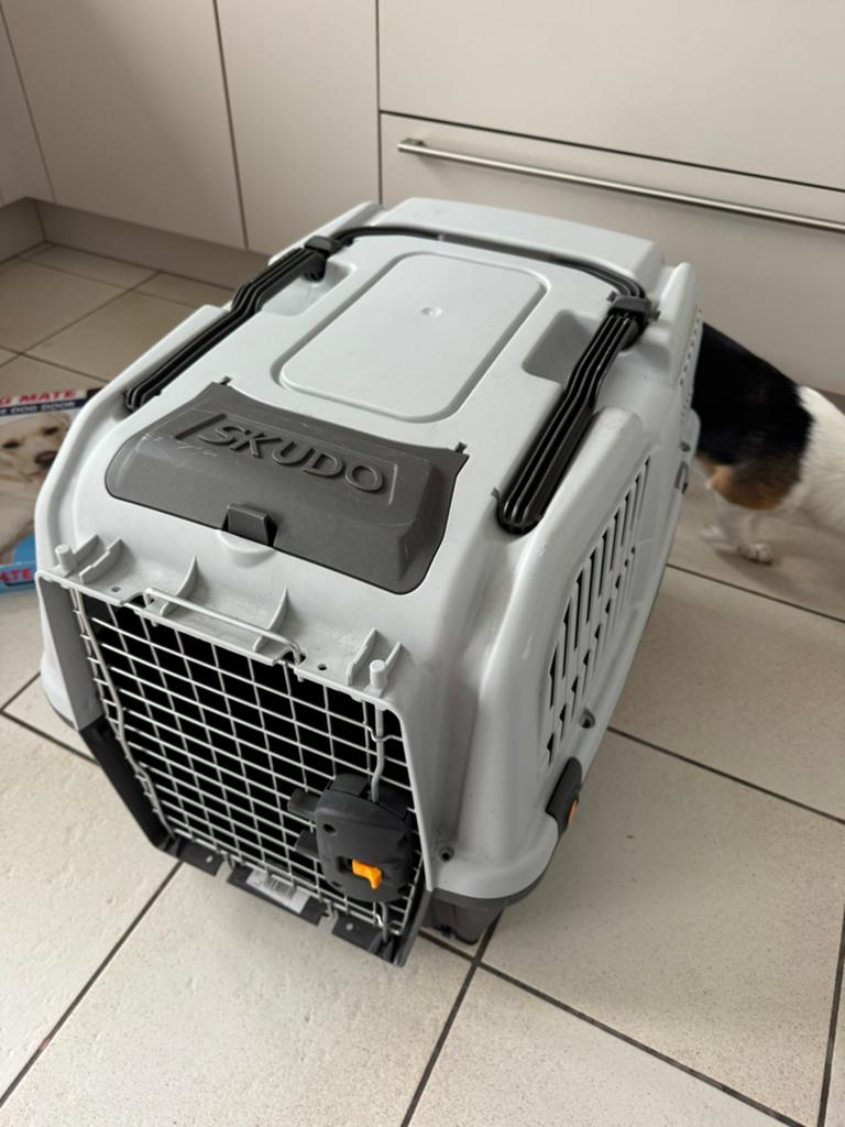 Transportbox groot (nieuw), Enlèvement, Neuf