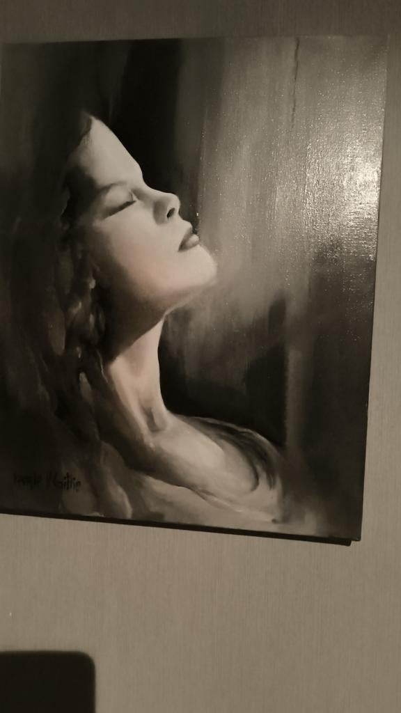 Peintures diverses. Veerle contre Coillie., Enlèvement