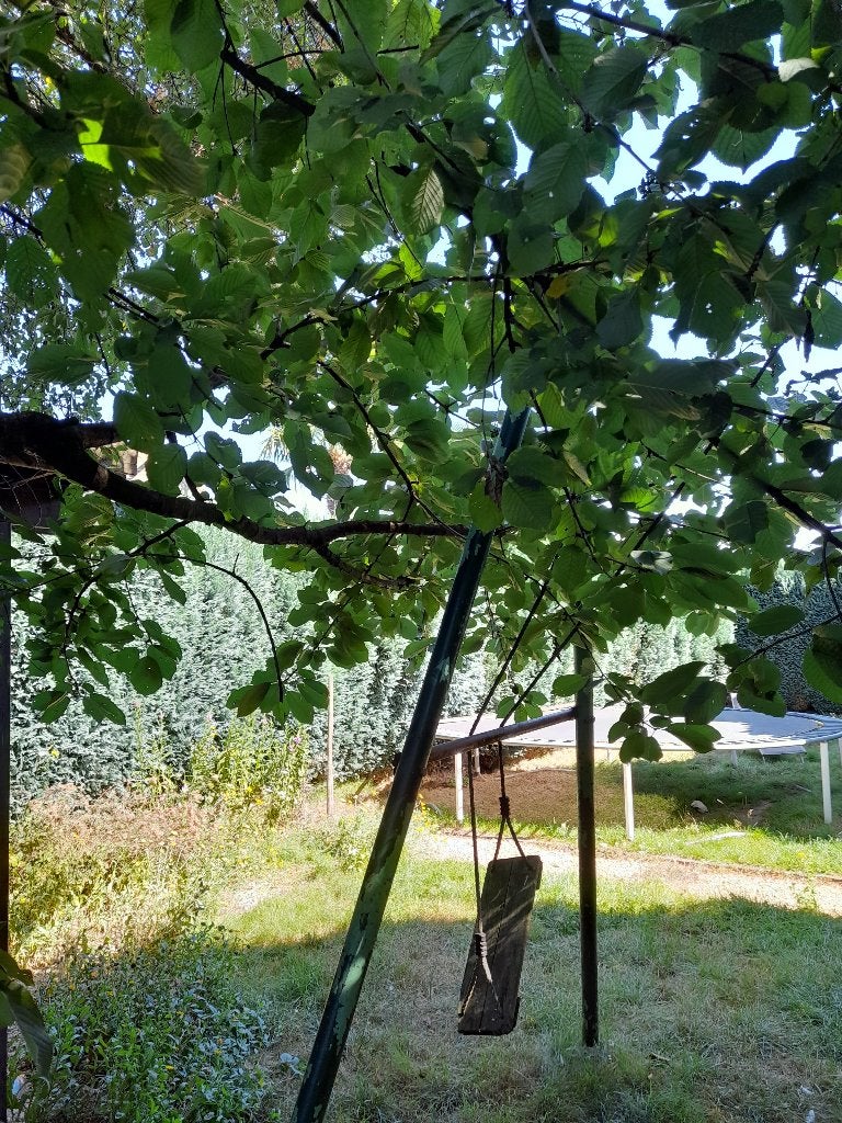 dubbele schommelframe, Ophalen, Gebruikt, Schommel
