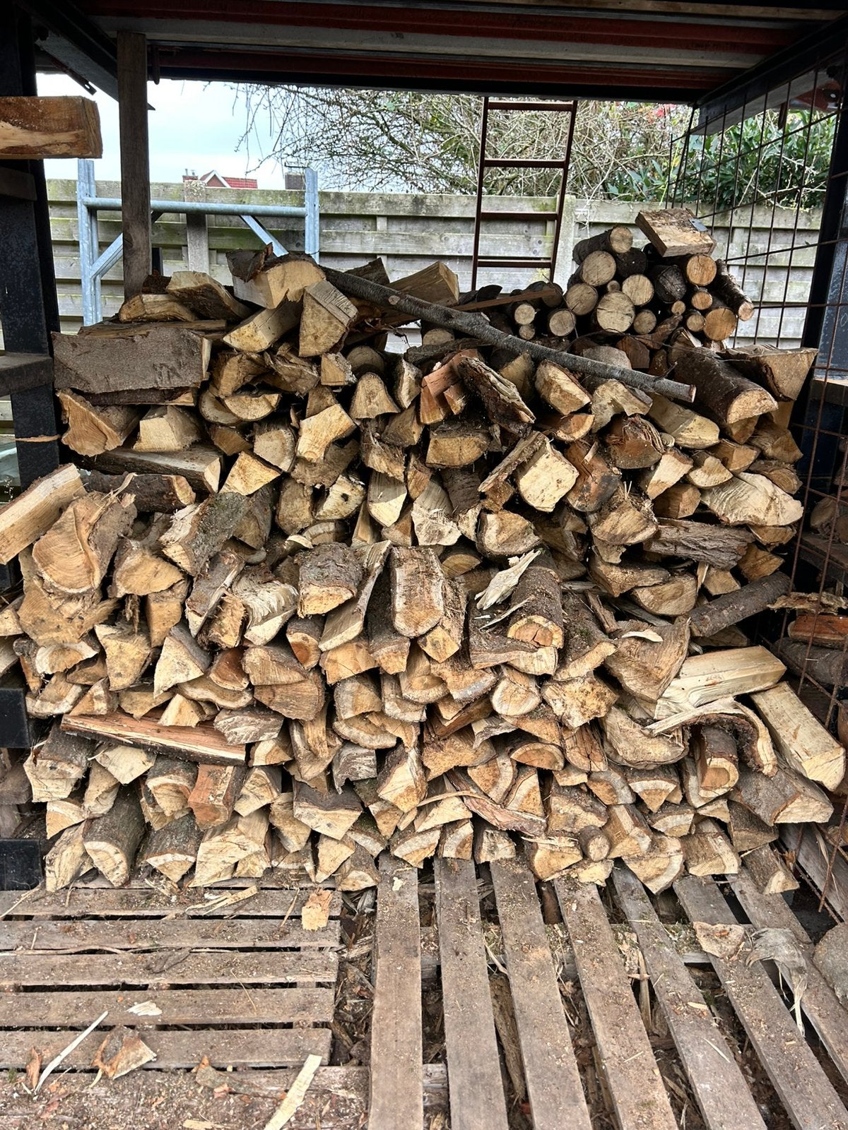 Droog brandhout van loofbomen, 3 à 6 m³, Enlèvement, Autres essences de bois, Bûches