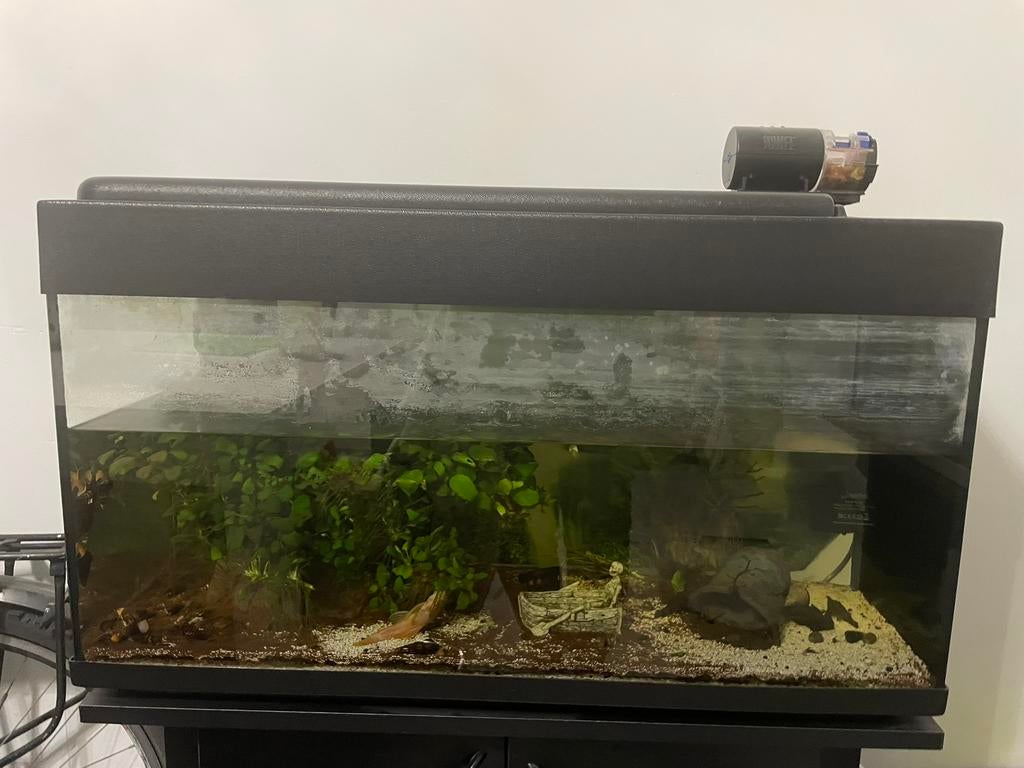 Aquarium met visjes, kast en volledige set, Ophalen, Zo goed als nieuw