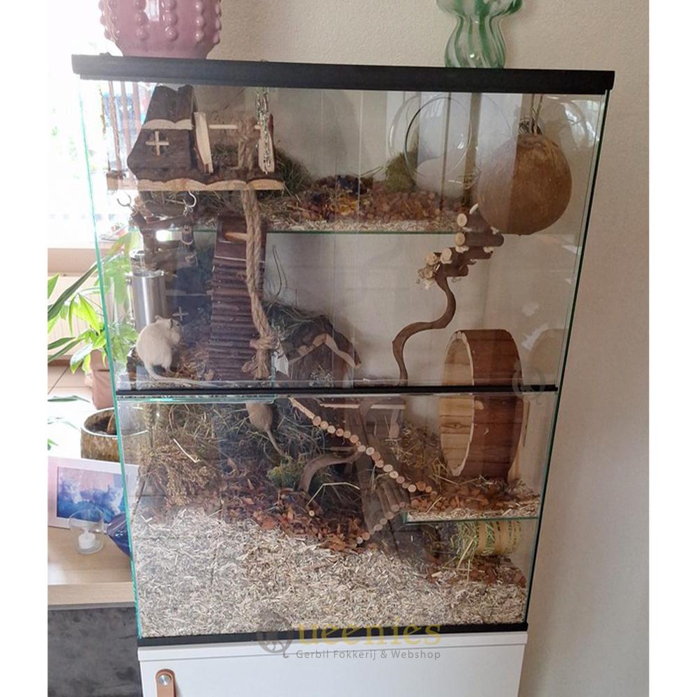 Ruime gerbil kooi 60x40x80 aanbieding €149,95, Dieren en Toebehoren, Knaagdieren en Konijnen | Hokken en Kooien, Nieuw, Hok, 90 cm of meer