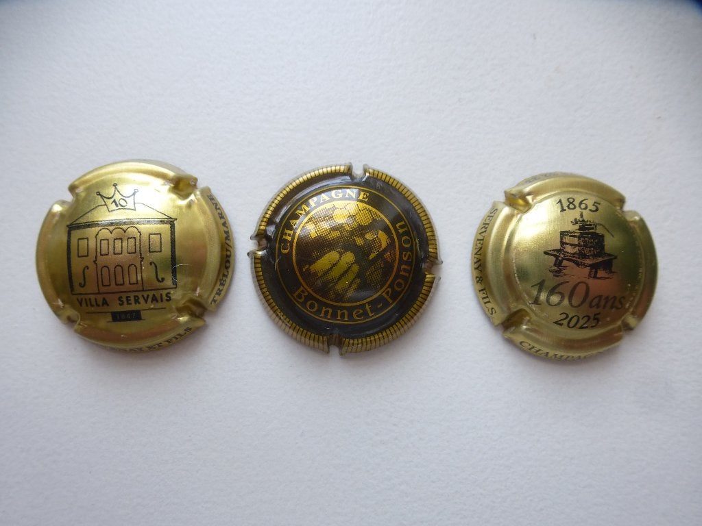 champagnecapsules, Ophalen of Verzenden, Zo goed als nieuw, Champagne