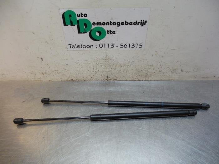 Kit amortisseur gaz hayon d'un Renault Scenic (Scenic 99-), Renault, -, Utilisé, -